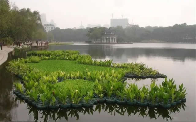 人工浮床在河道污水净化处理中的用法